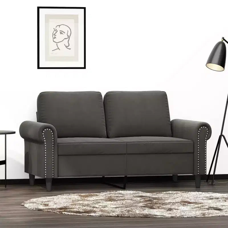 Modern 2-Seater Sofa in Luxurious Dark Gray Velvet with Sturdy Metal and Plywood Frame Comfortable, Stylish, and Easy-to-Assemble.
