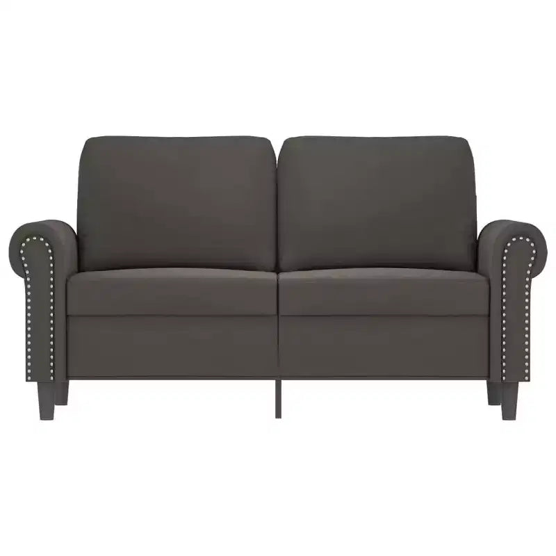 Modern 2-Seater Sofa in Luxurious Dark Gray Velvet with Sturdy Metal and Plywood Frame Comfortable, Stylish, and Easy-to-Assemble.