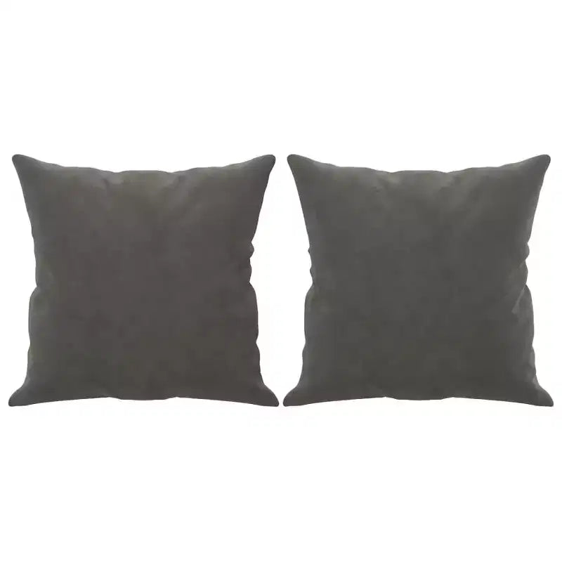 Velvet 2-Seater Sofa with Pillows and Cushions in Dark Gray Cozy, Modern Design for Living Room, Lounge, or Home Office